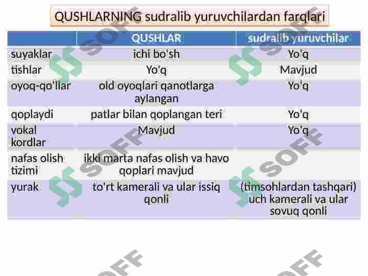 Qushlar sinfi 3