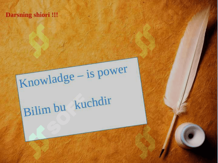 Qushlarning ichki tuzilishi va  sezgi organlari 2
