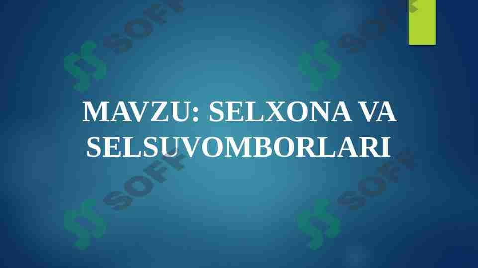 SELXONA VA SELSUVOMBORLARI