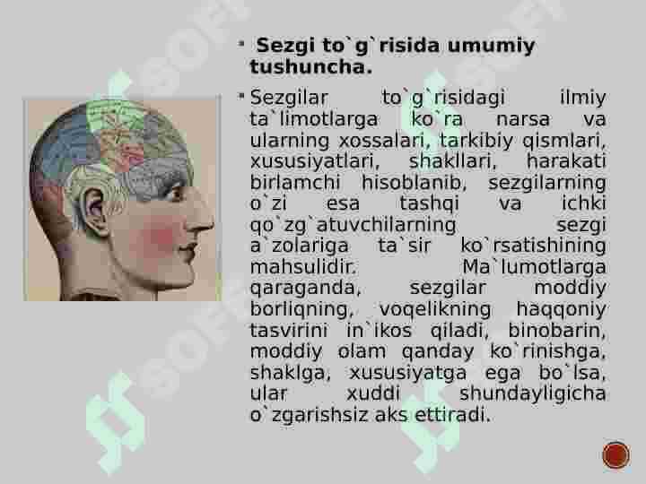SEZGI psixologiyasi 4