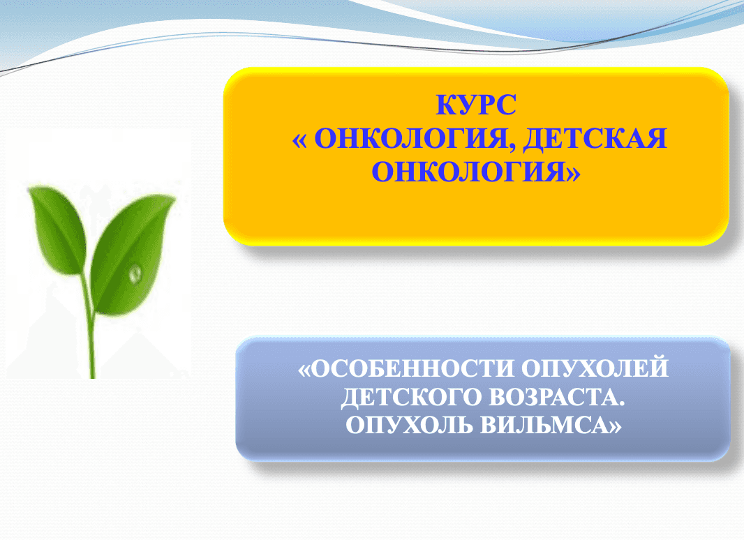 Нефробластомa ppt