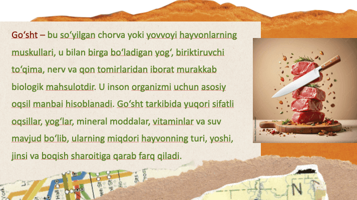 Go'sht tarkibiga kiradigan toʻqimalar haqida tushuncha 2