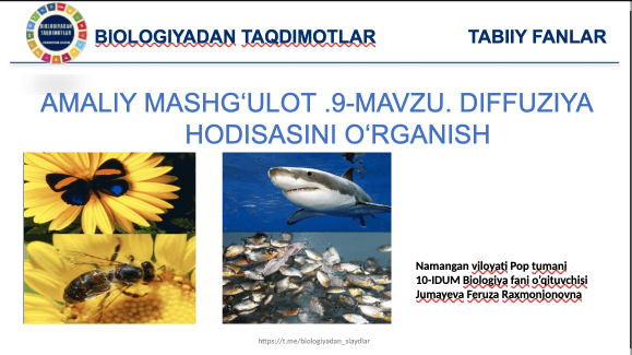 DIFFUZIYA HODISASINI O‘RGANISH 1