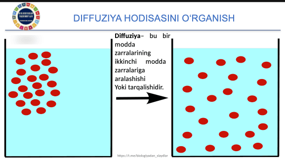 DIFFUZIYA HODISASINI O‘RGANISH 2
