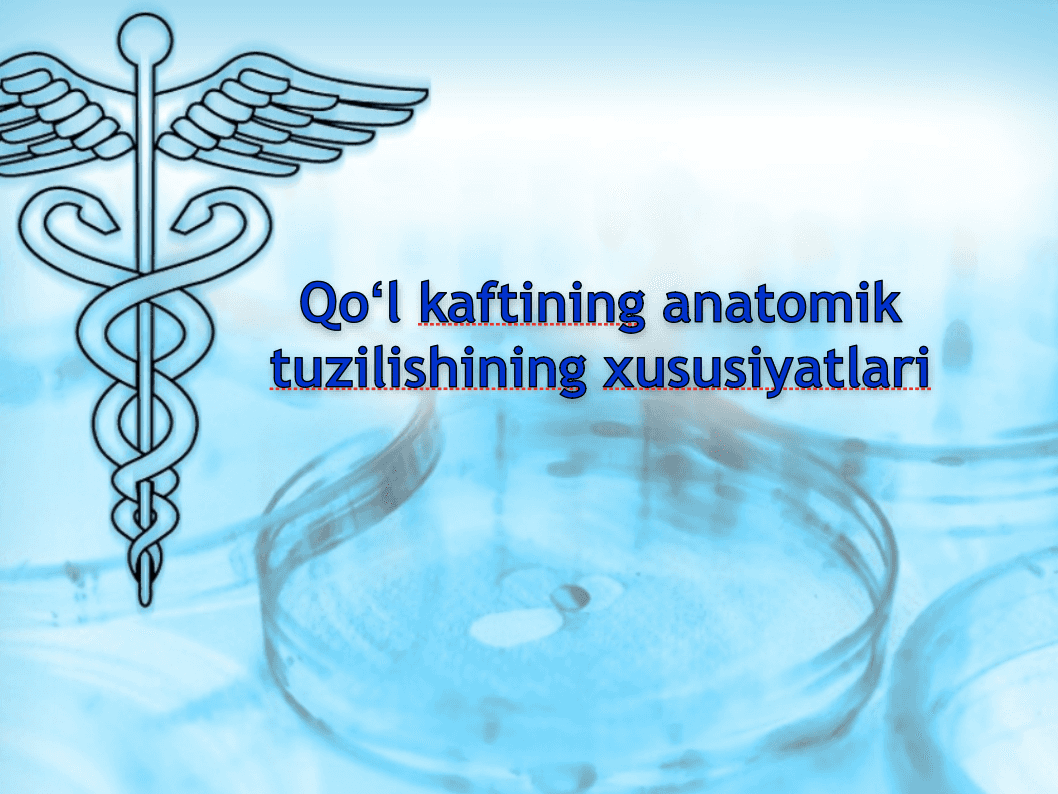 Qoʻl kaftining anatomik tuzilishining xususiyatlari 1