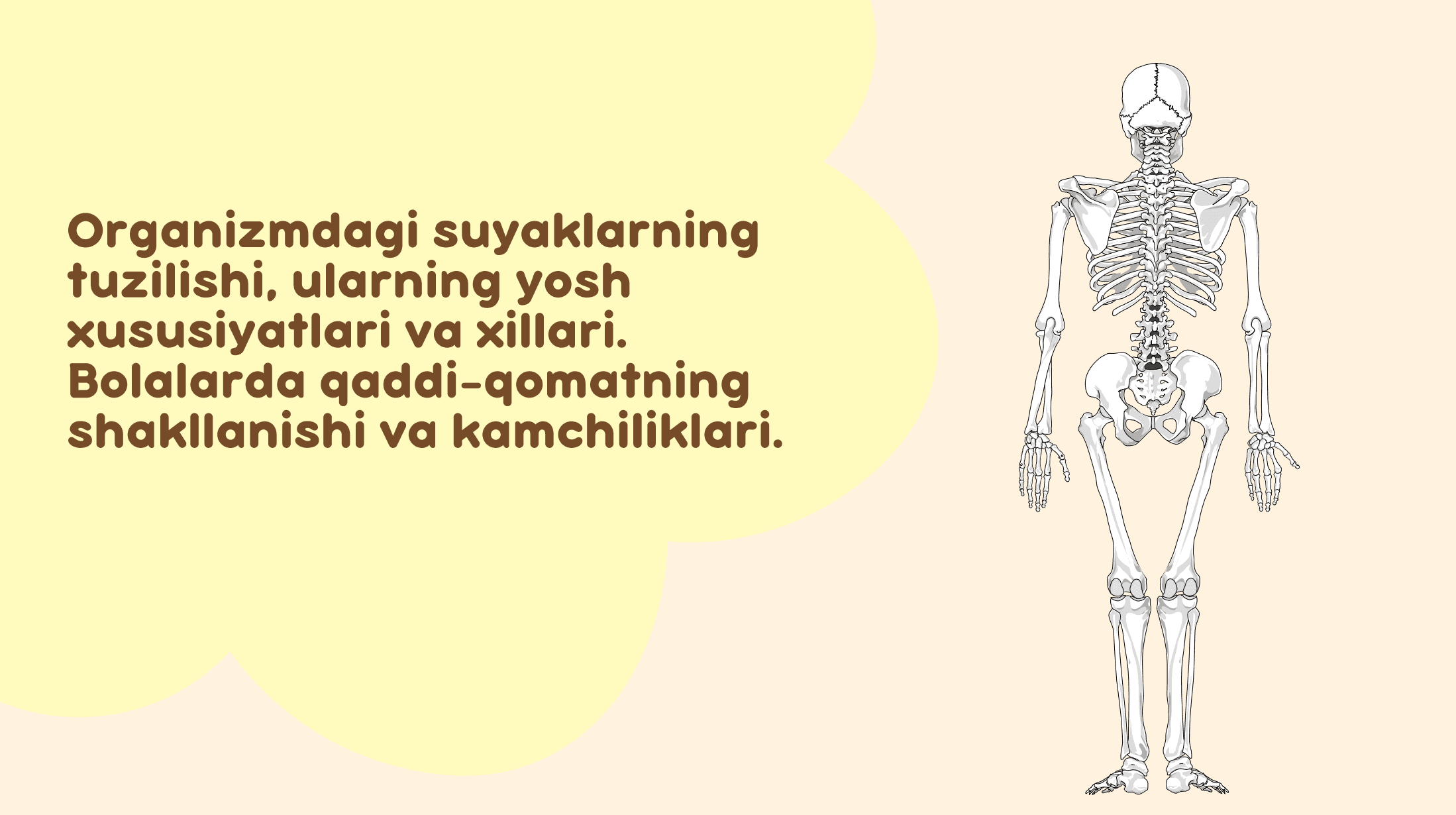 Suyaklar va ularning tuzilishi 1