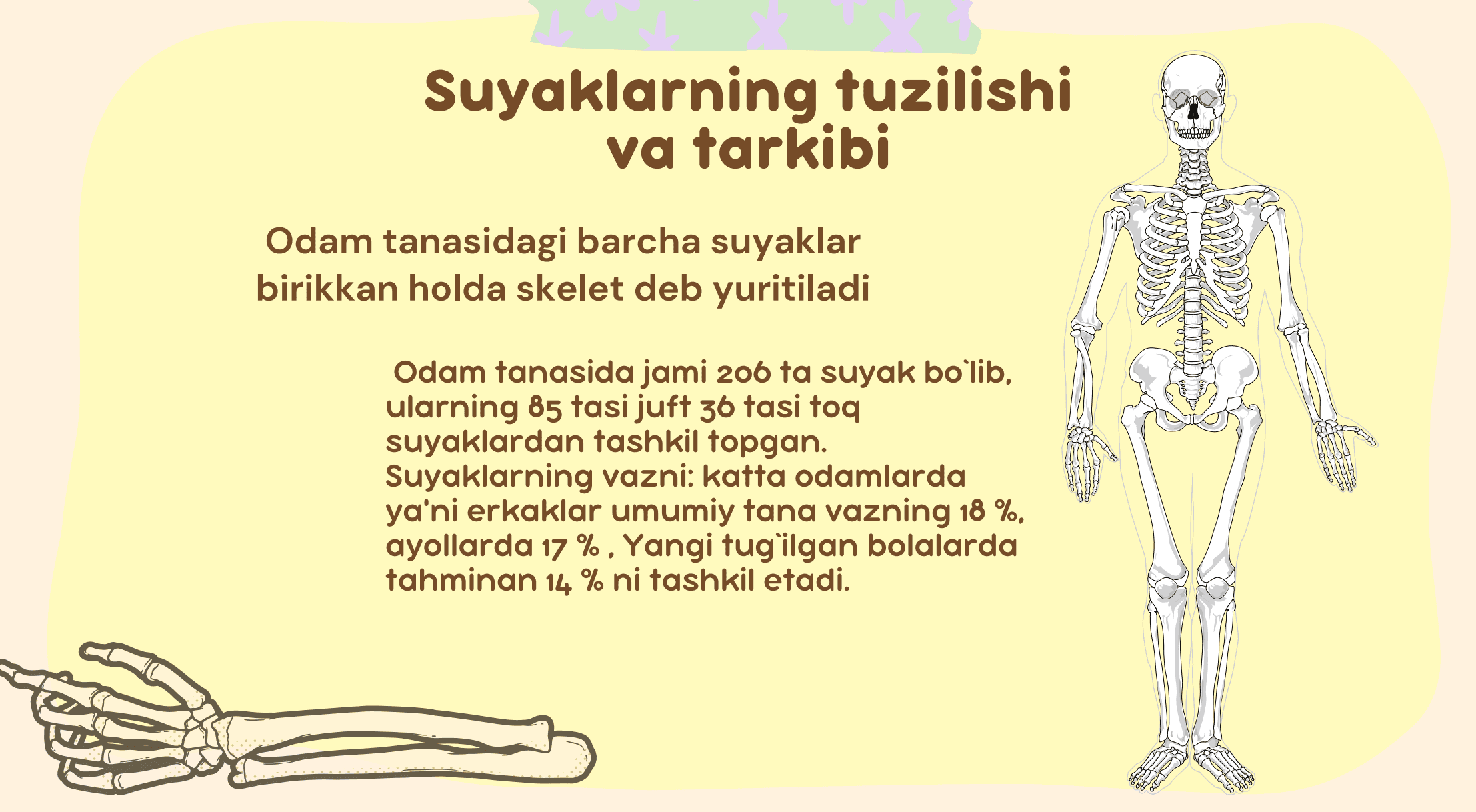Suyaklar va ularning tuzilishi 2