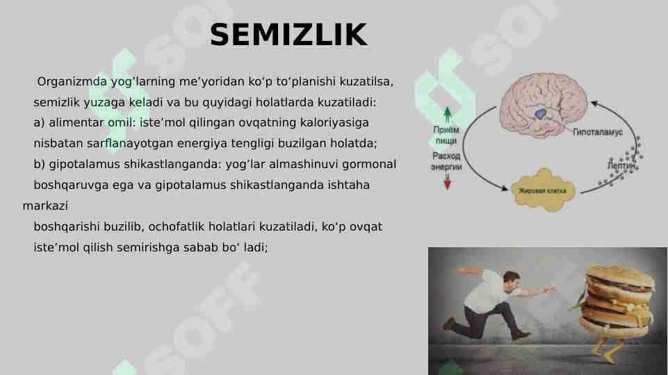 Semizlik