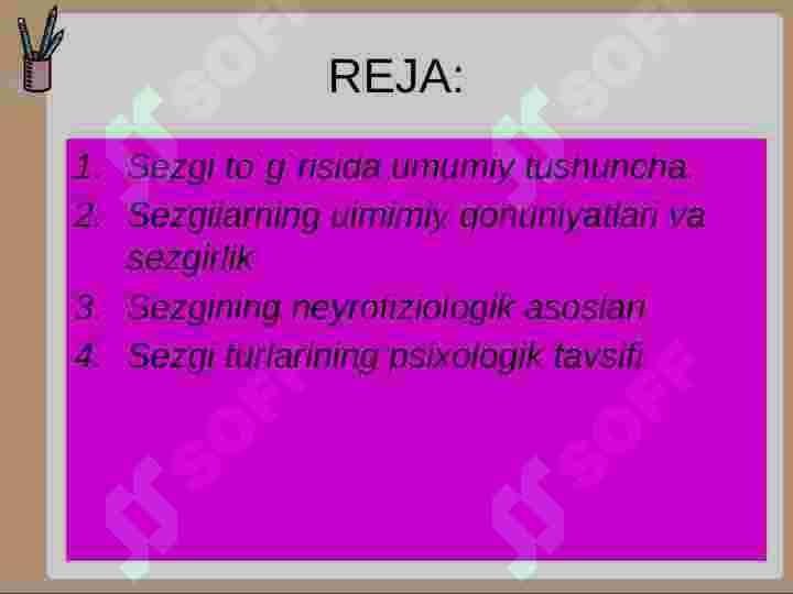 Sezgi 2
