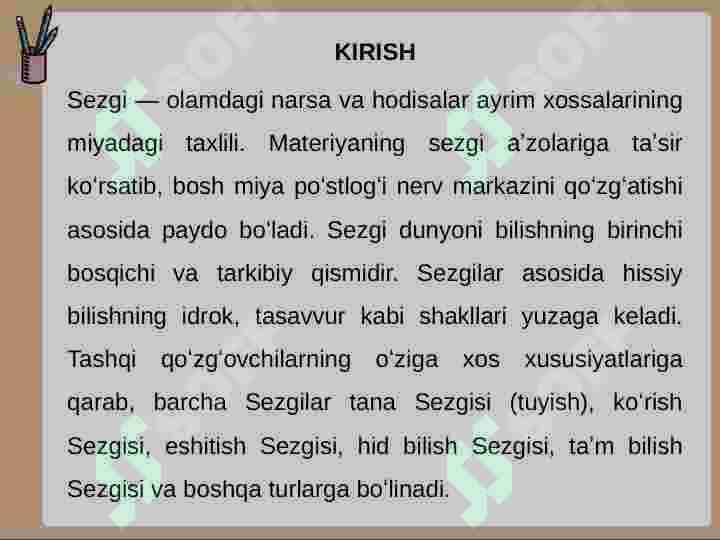 Sezgi 3