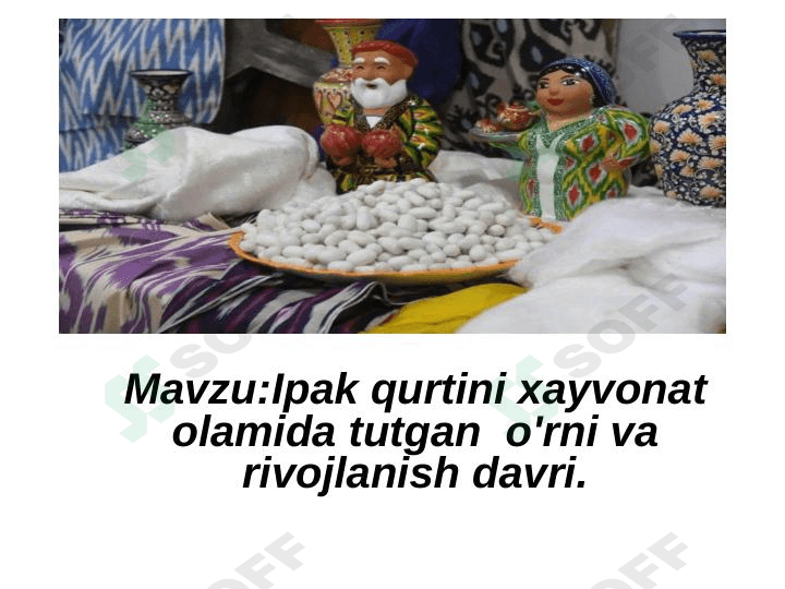 Ipak qurtini hayvonot olamida tutgan o'rni va rivojlanish davri 1