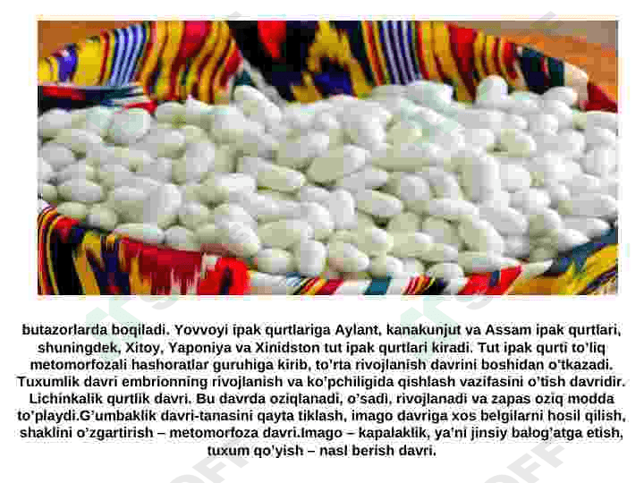 Ipak qurtini hayvonot olamida tutgan o'rni va rivojlanish davri 4