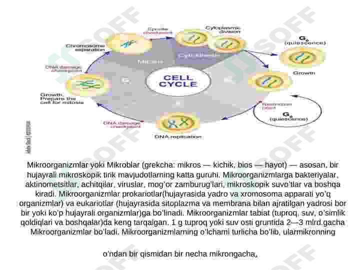 Mikroorganizmlar genetikasi 3