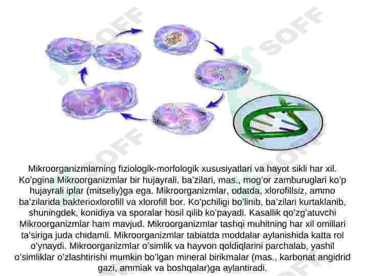 Mikroorganizmlar genetikasi 4
