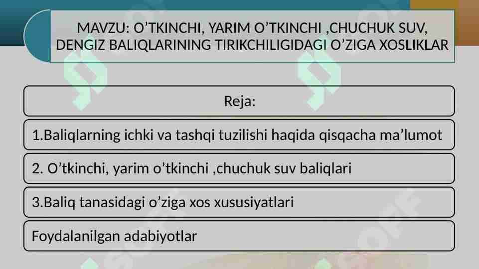O’TKINCHI, YARIM O’TKINCHI ,CHUCHUK SUV, DENGIZ BALIQLARINING TIRIKCHILIGIDAGI O’ZIGA XOSLIKLAR