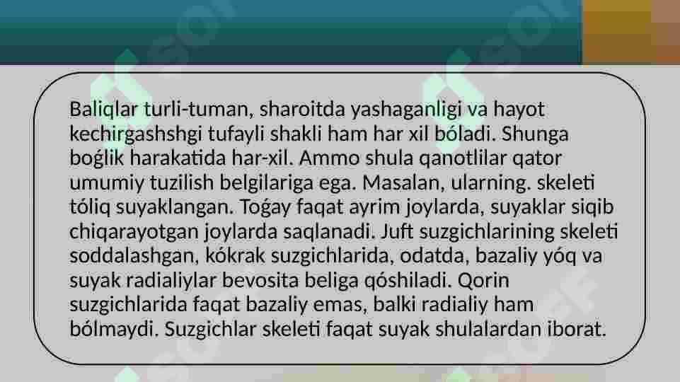 O’TKINCHI, YARIM O’TKINCHI ,CHUCHUK SUV, DENGIZ BALIQLARINING TIRIKCHILIGIDAGI O’ZIGA XOSLIKLAR 2