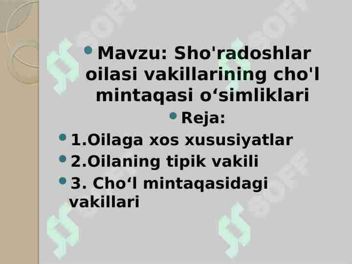 Sho'radoshlar oilasi vakillarining cho'l mintaqasi oʻsimliklari
