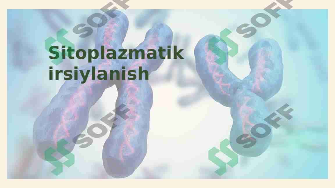 Sitoplazmatik irsiylanish
