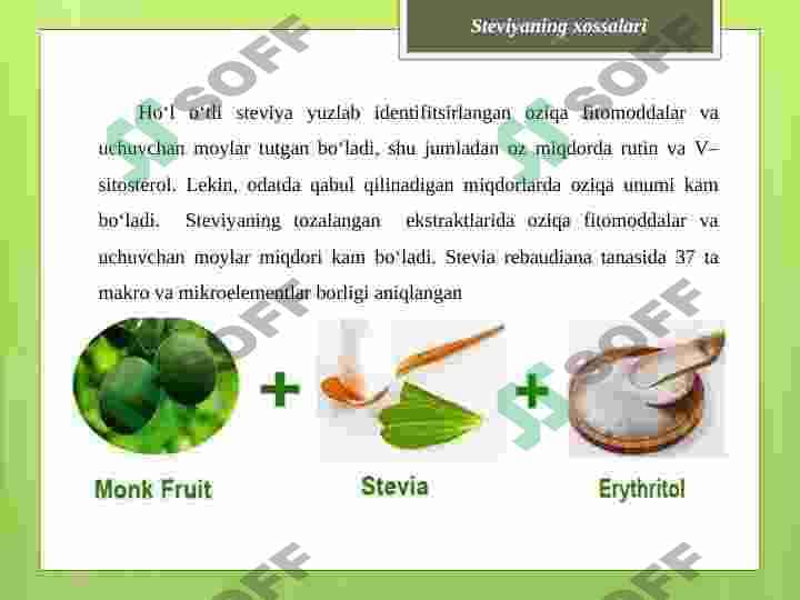 Stevia 4
