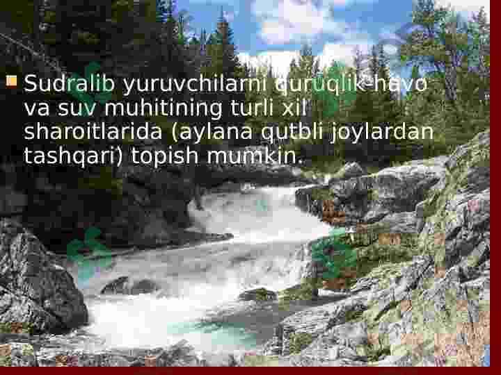 Sudralib yuruvchilar sinfi 4