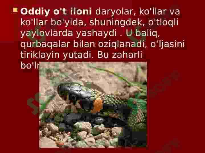 Sudralib yuruvchilar sinfi 8