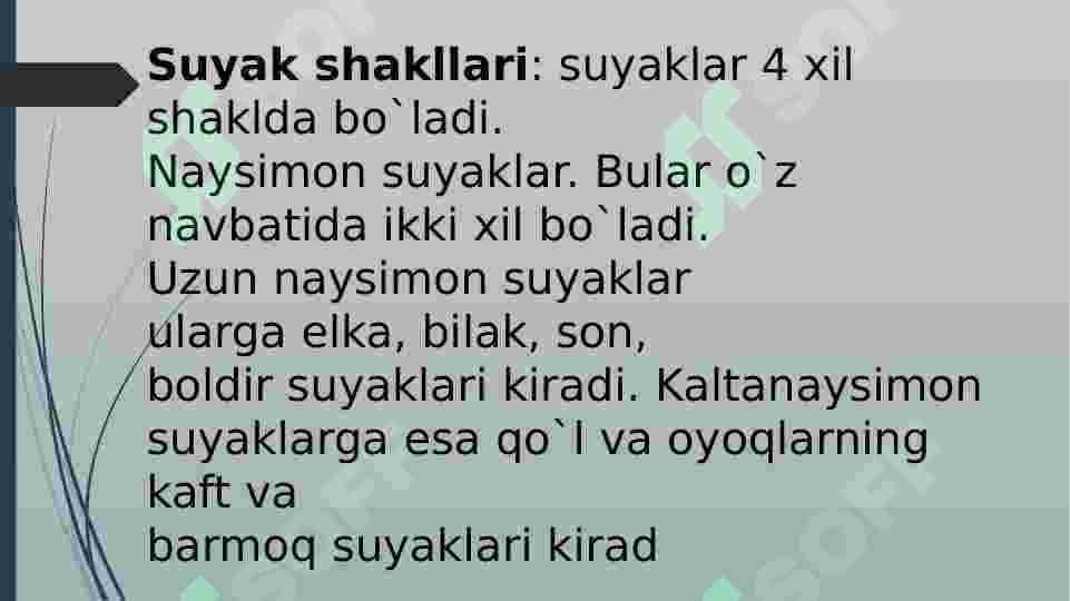 Suyak shakllari 2