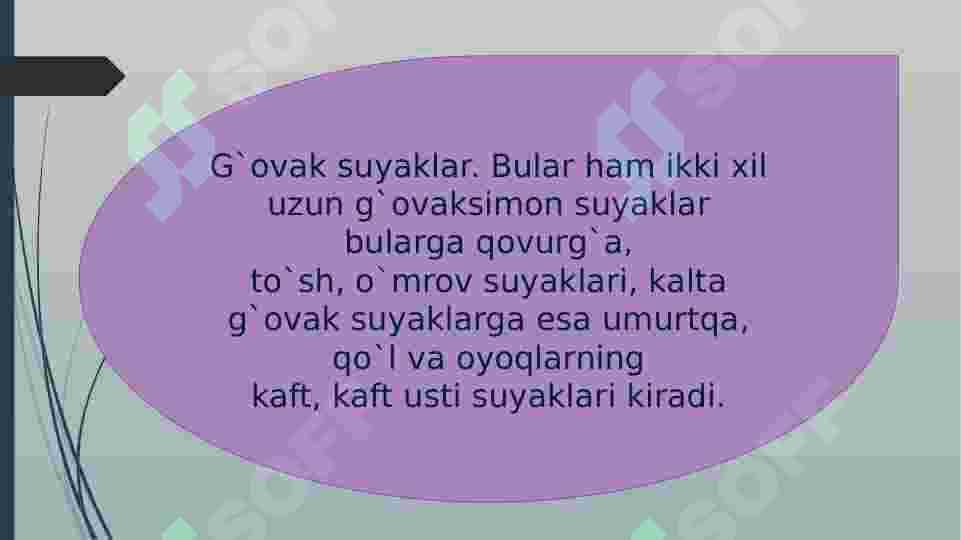 Suyak shakllari 3