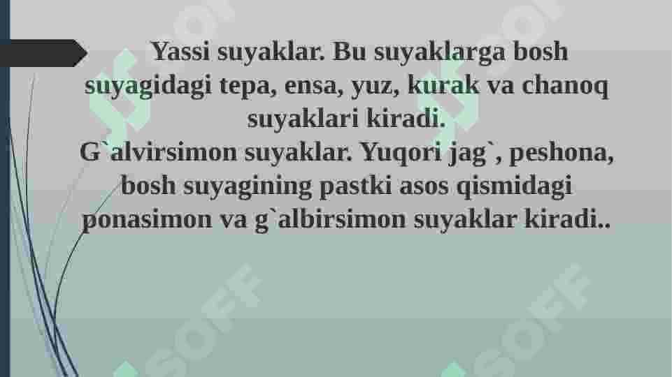 Suyak shakllari 4