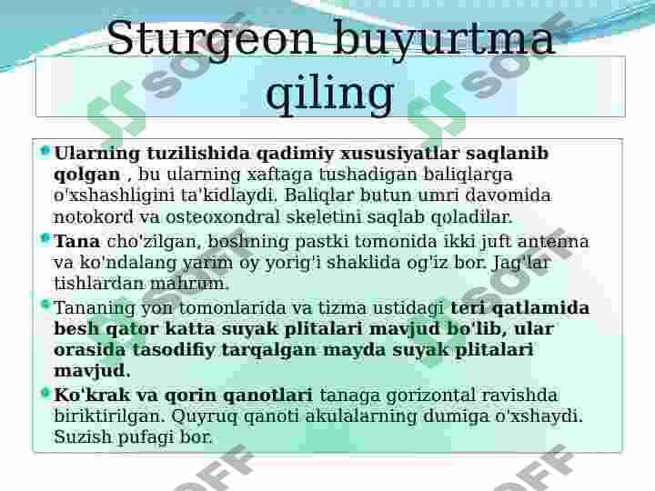 Suyakli baliq 2