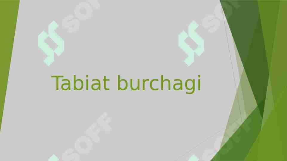 Tabiat burchagi