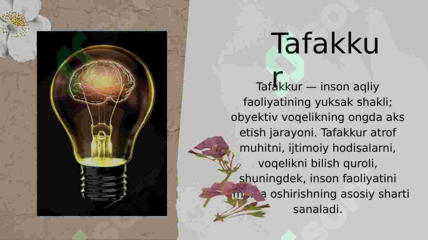 Tafakkur 2