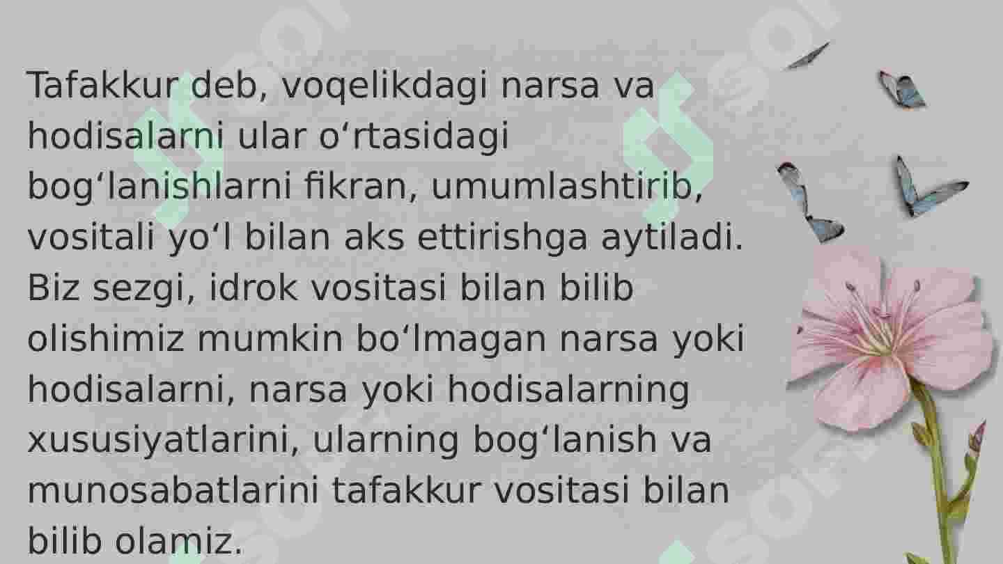 Tafakkur 3