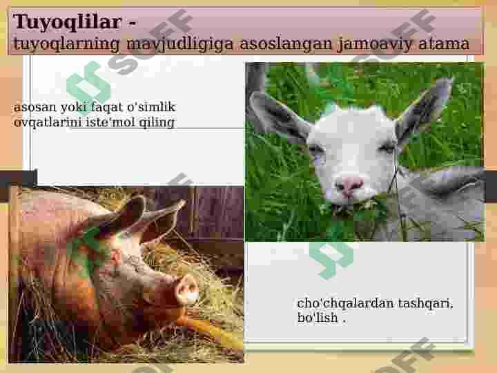 Tuyoqlilar 2