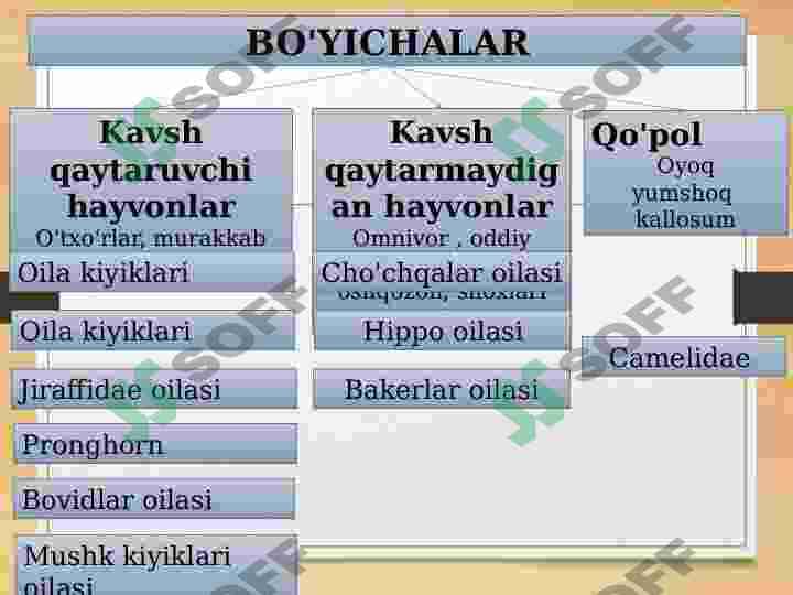 Tuyoqlilar 6