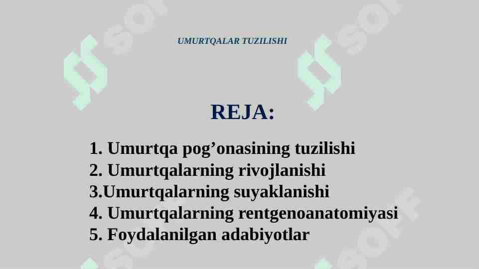 UMURTQALAR TUZILISHI