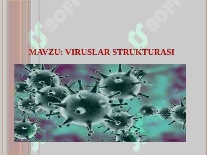 VIRUSLAR STRUKTURASI