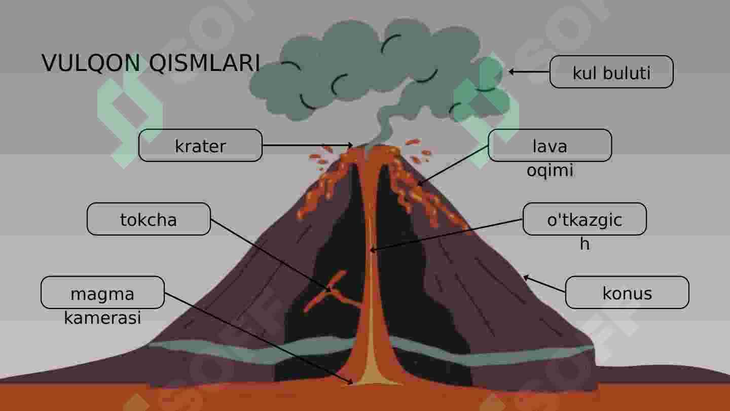 VULQONLAR 5
