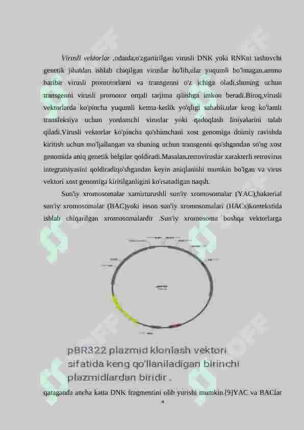 Vektorlar konstruksiyasi 4