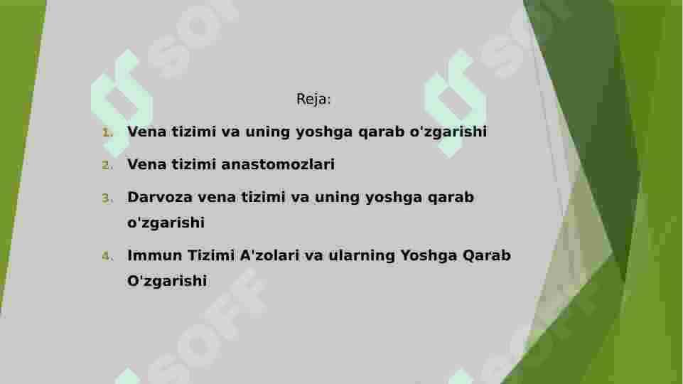 Vena tizimi 2