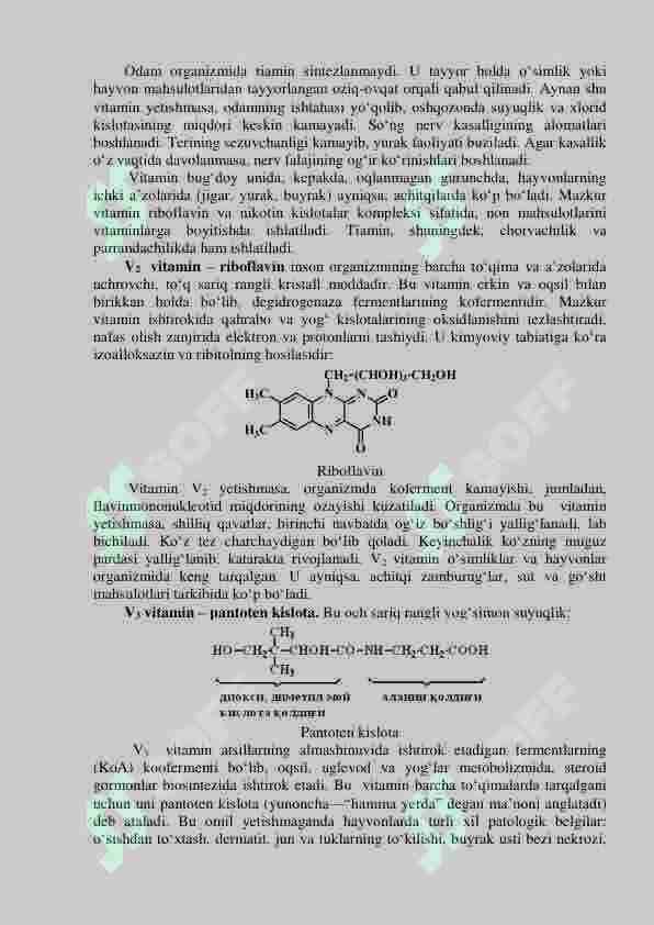 Vitaminlar 3