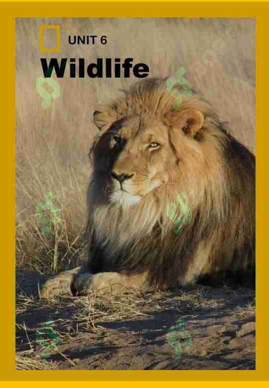 Wildlife 1