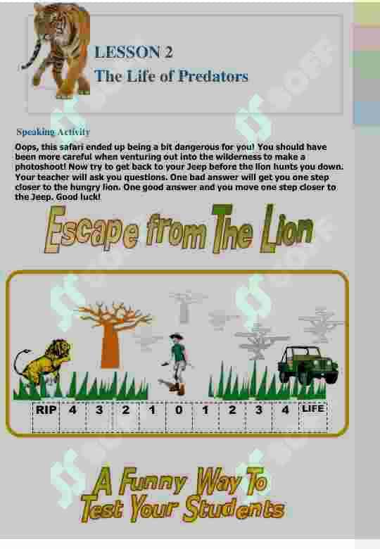 Wildlife 6