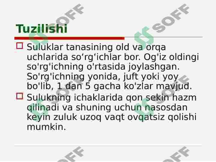 ZULUKLAR 8