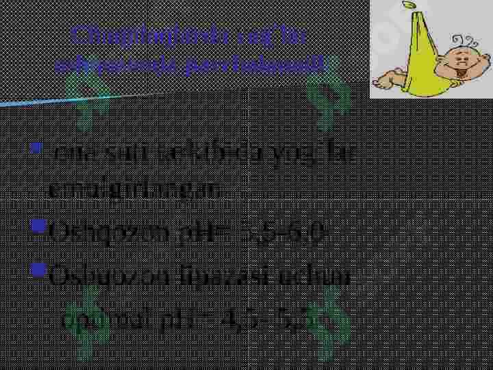 Yog`lar almashinuvi 8
