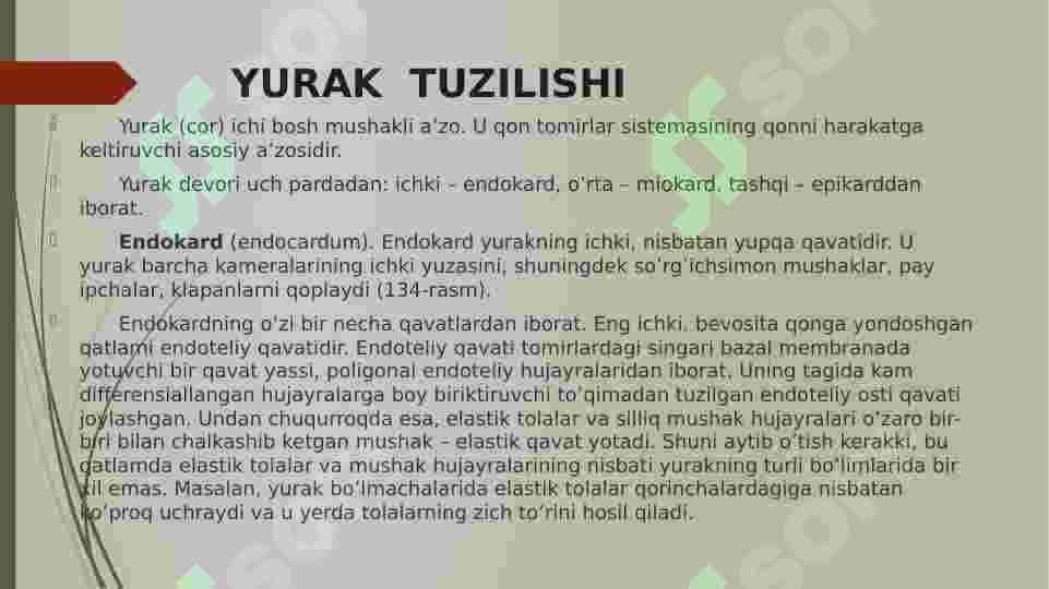 Yurak 5