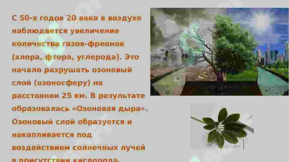 Глобальная экологическая Проблема 3
