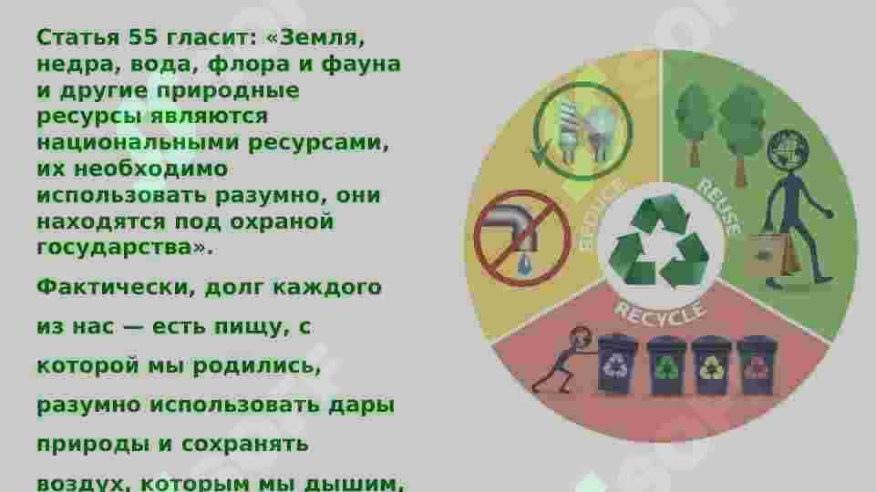 Глобальная экологическая Проблема 4
