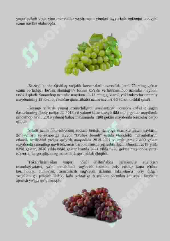 vinochilik texnalogiyasi, bijg'ish mahsulotlari va alkagolsiz ichimliklar texnologiyasi yonalishi talabalari uchun amaliyot hisoboti 8