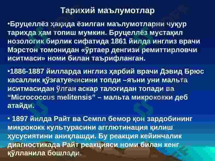 БРУЦЕЛЛЕЗ 4