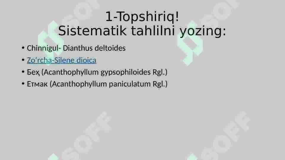 chinniguldoshlar 2